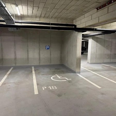 Апартаменты Steblaj Park Краньска Гора