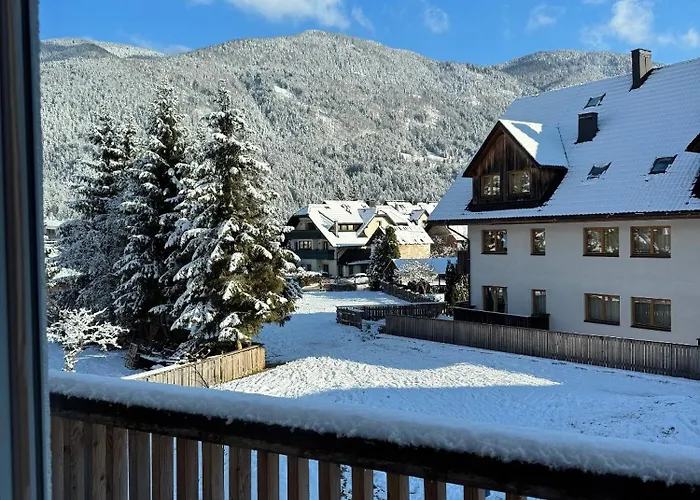 Steblaj Park Apartment *