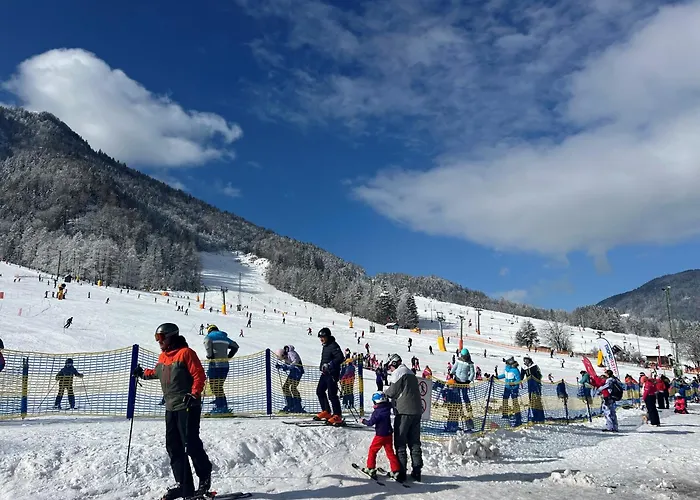 Steblaj Park Apartment *